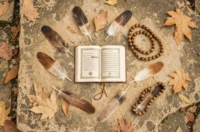 Composition de plumes naturelles autour d'un Coran ouvert et d'un chapelet, symbolisant les messages spirituels et la signification de la plume en islam
